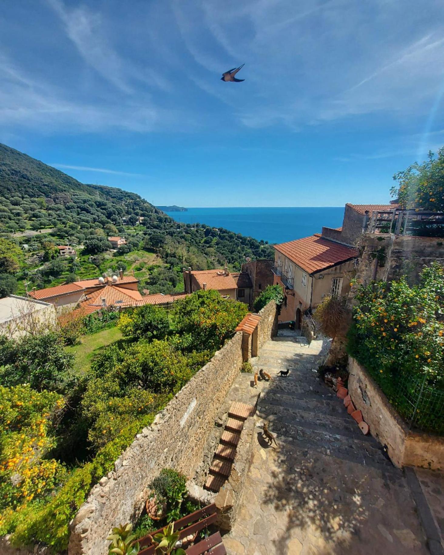 La Casa Sul Blu Albergo Diffuso Pisciotta Exterior photo